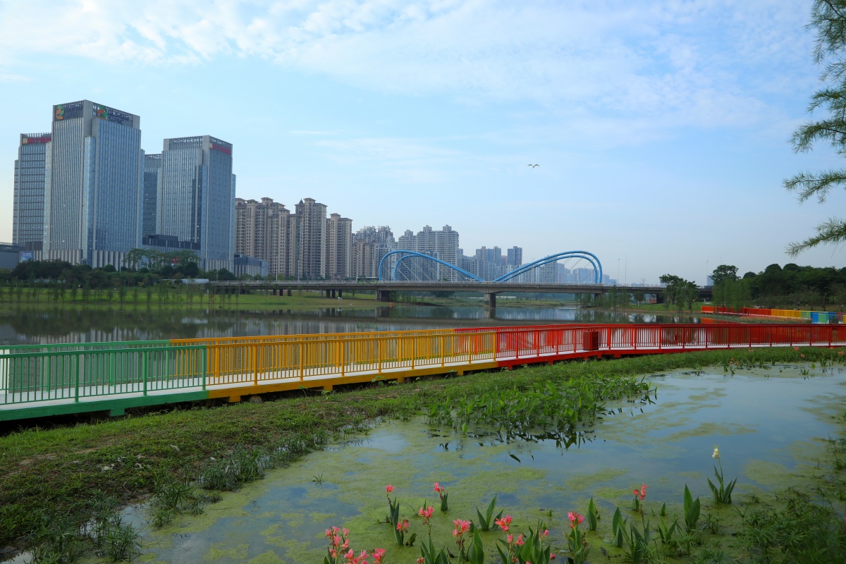 5月4日,南宁市天气晴朗,阳光明媚,不少市民来到心圩江明月湖公园散步