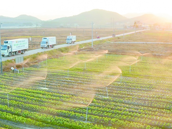 探访贺州市八步区东融供港蔬菜产业核心示范区