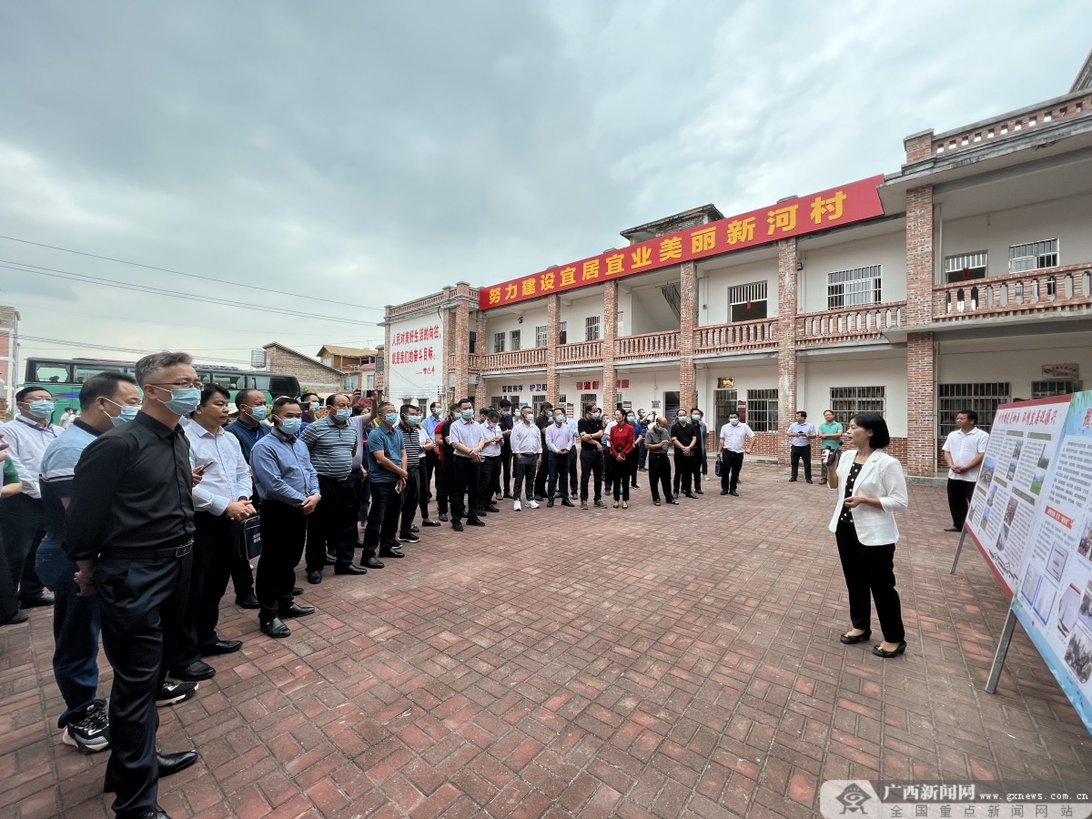 全区乡村治理暨清廉乡村建设现场交流会在北流举行