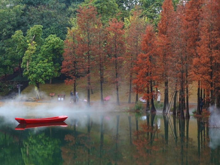 大美中国・壮美广西丨“水上森林”层林尽染景如画