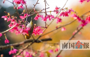 实博的网址官网app下载