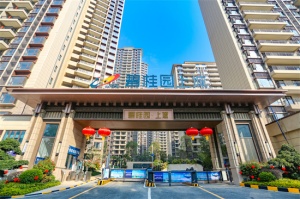 用心筑造温暖社区  碧桂园赋能业主美好生活