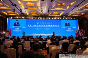 中国—东盟市长论坛暨协同创新发展大会举办