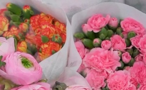 鲜花绽放节日市场 姹紫嫣红中消费“盛放”