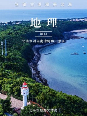 春天的北海,你会一不小心拍到课本封面-广西新闻图集