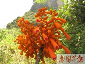 5月23日焦点图-广西新闻图集