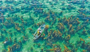 假期接近尾声 广西各地旅游持续火爆