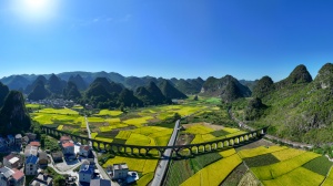 10月24日焦点图