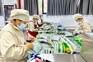 广西首批中成药获得文莱市场准入资质