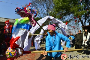 富川：抢花炮 闹元宵