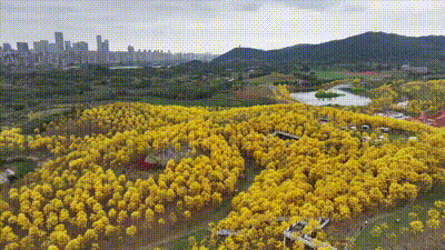 未来三天广西晴好天气强势回归 气温迈开升温步伐