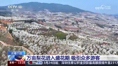 春暖花开景如画 多地赏花游激活乡村旅游经济