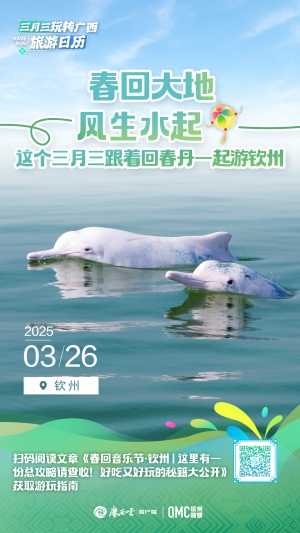 广西三月三旅游日历㉖丨“三月三”到钦州，看海观豚赴音乐节之约