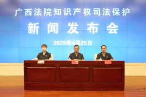 10个典型案例发布！广西法院2024年受理各类知识产权案件6806件