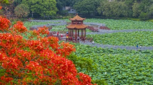 5月19日焦点图