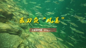 ģӳ㸰һ֮Լ