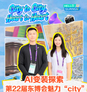 AIװ̽22춫city
