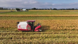 ǧءۡ ảꡰǡحԺʿרҸܹɫũҵչ