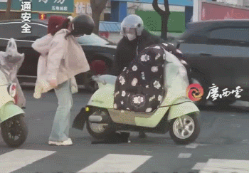 视频丨这一幕好暖！女生寒风中脱下外套 救起车流里受伤小猫