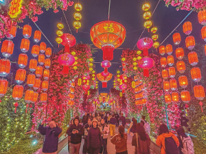 春满邕城天地暖 灯火璀璨映民心