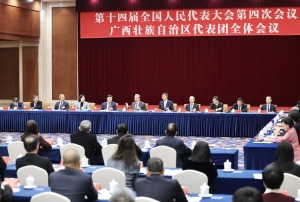 十四届全国人大四次会议广西代表团审议政府工作报告 王毅陈刚韦韬鹿心社等参加审议
