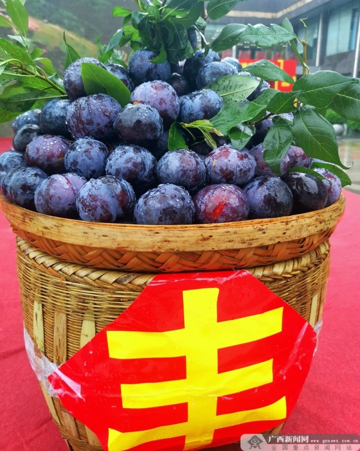 2022年桂林灌阳第十二届"六月六"尝新节暨雪梨黑李节在灌阳县城江东