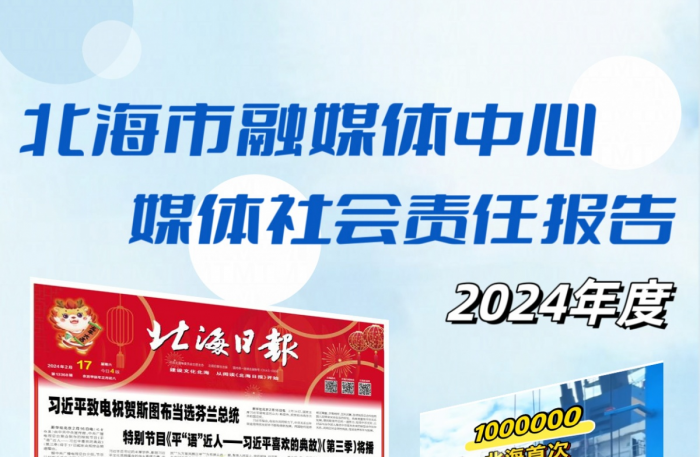 ��������ý������������α��棨2024��ȣ�