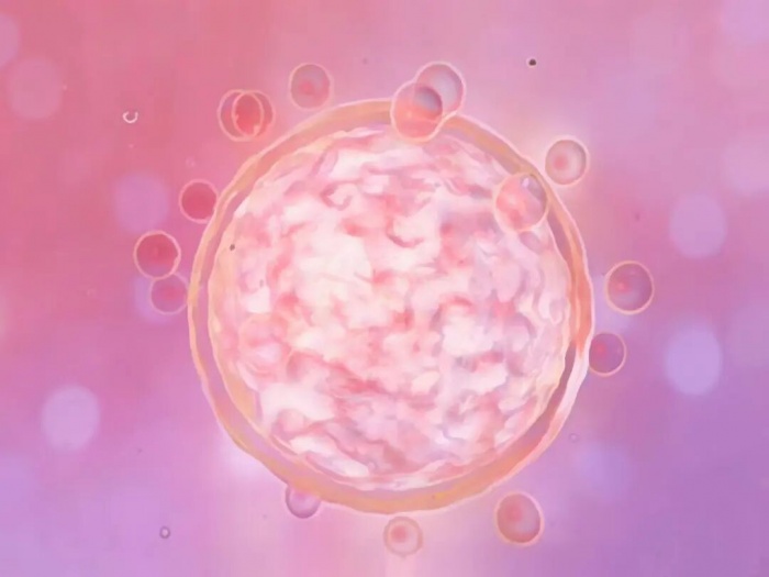 �������ߡ�������ǿ��������ǵ��ˡ�ÿ���ǴΡ�����