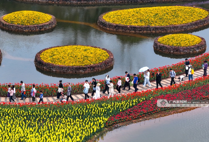 2��23�ս��c(di��n)�D