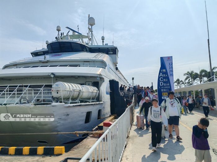 2��23�ս��c�D