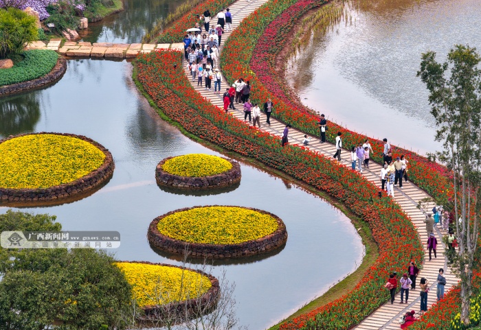 2��23�ս��c(di��n)�D