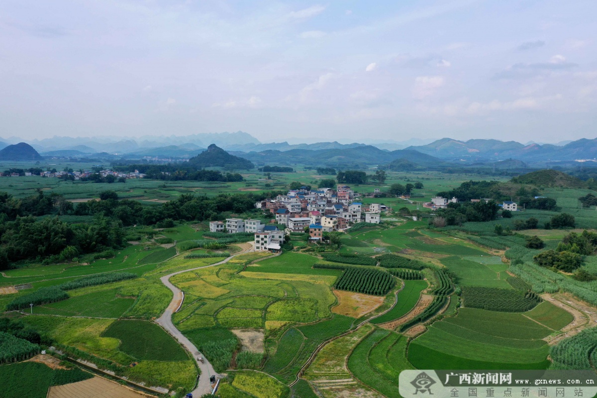 8月23日,在柳州市融安县大良镇龙山村拍摄的美丽田园.