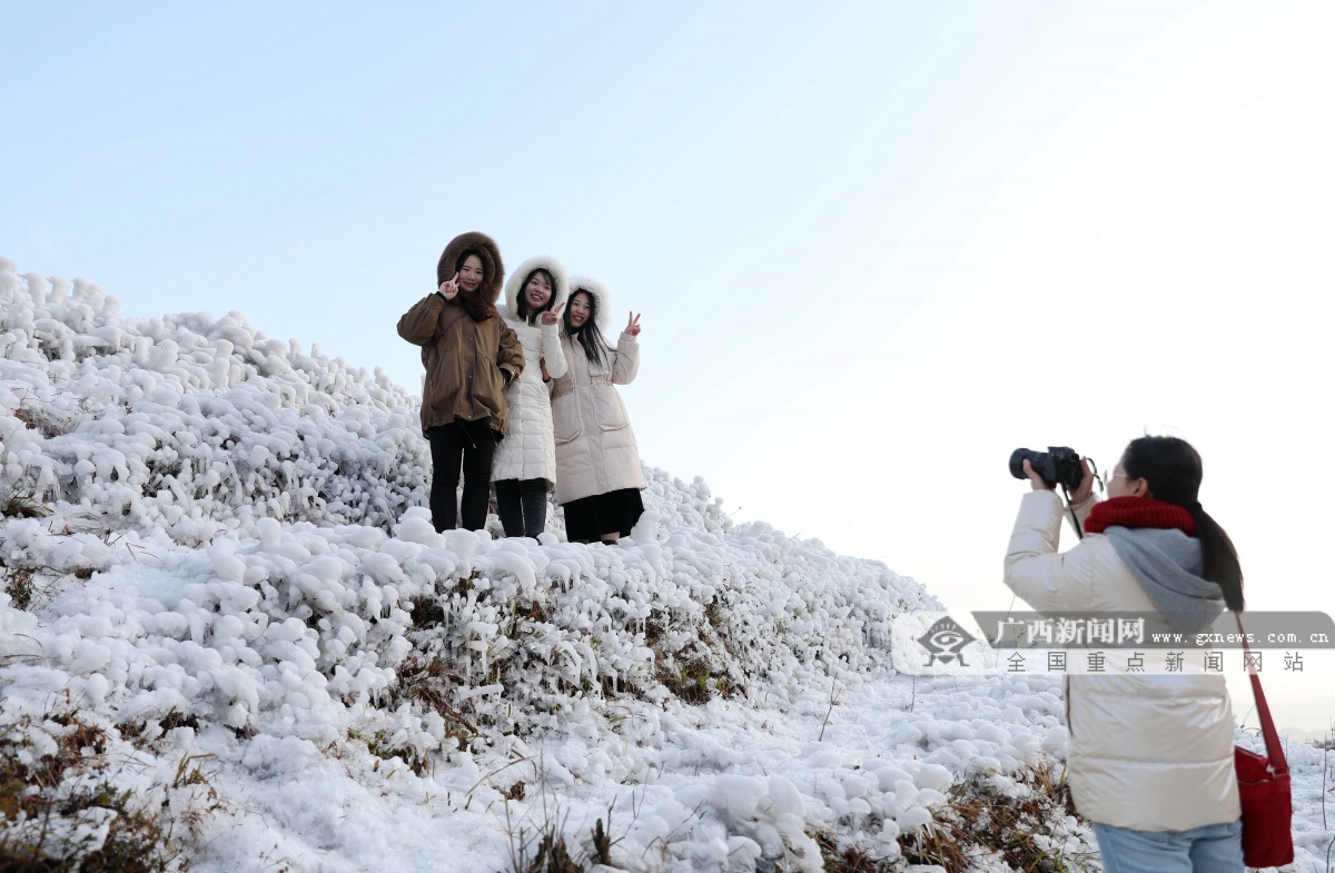 高清圖集廣西這個地方現絕美雪景宛如童話世界1016