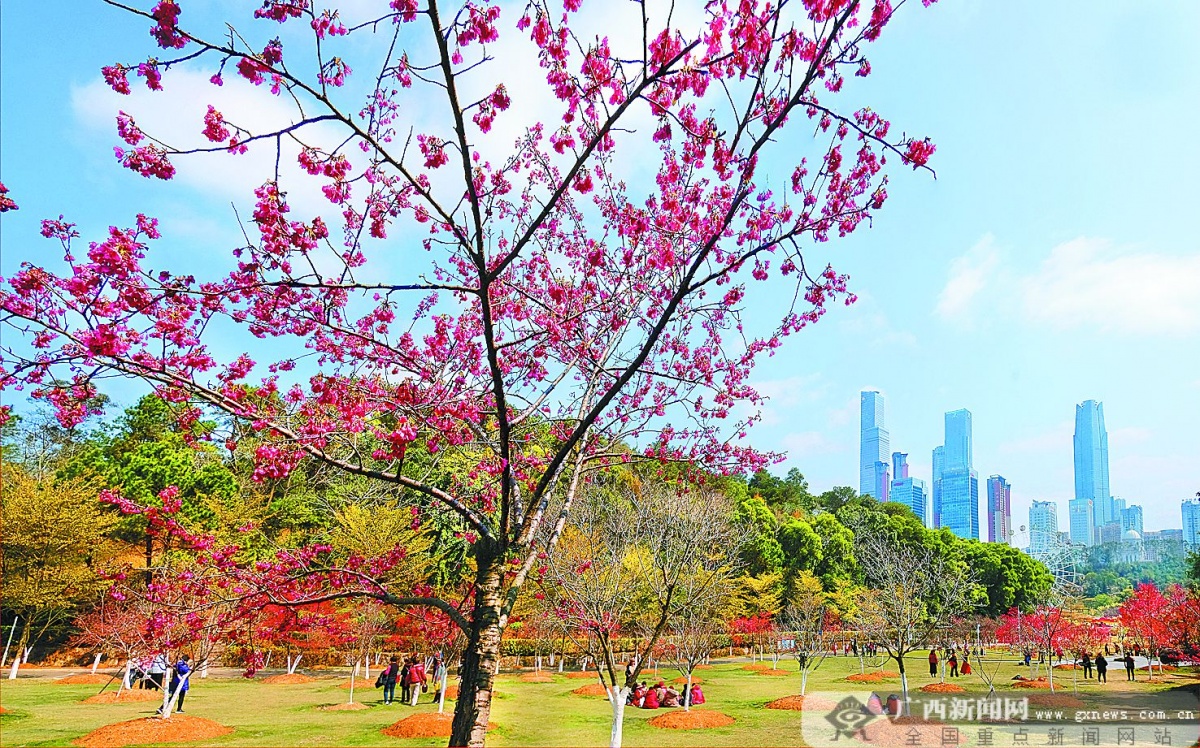 2月26日焦点图112