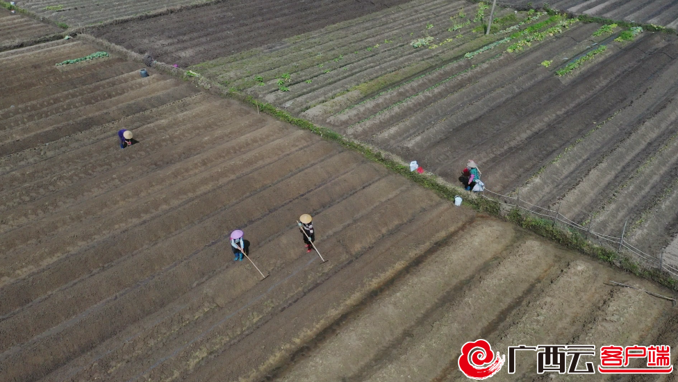 春耕备耕忙起来把撂荒地打造成千亩农业示范种植项目(图3)