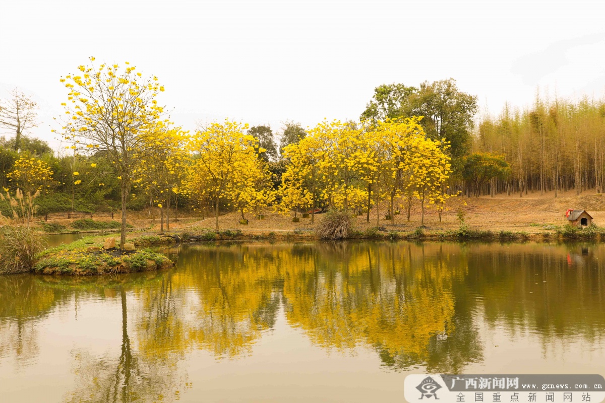 十里花卉长廊图片