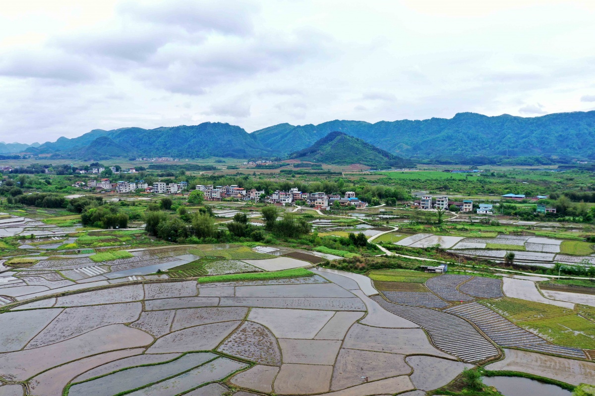 大美中国壮美广西丨田园美景如画来