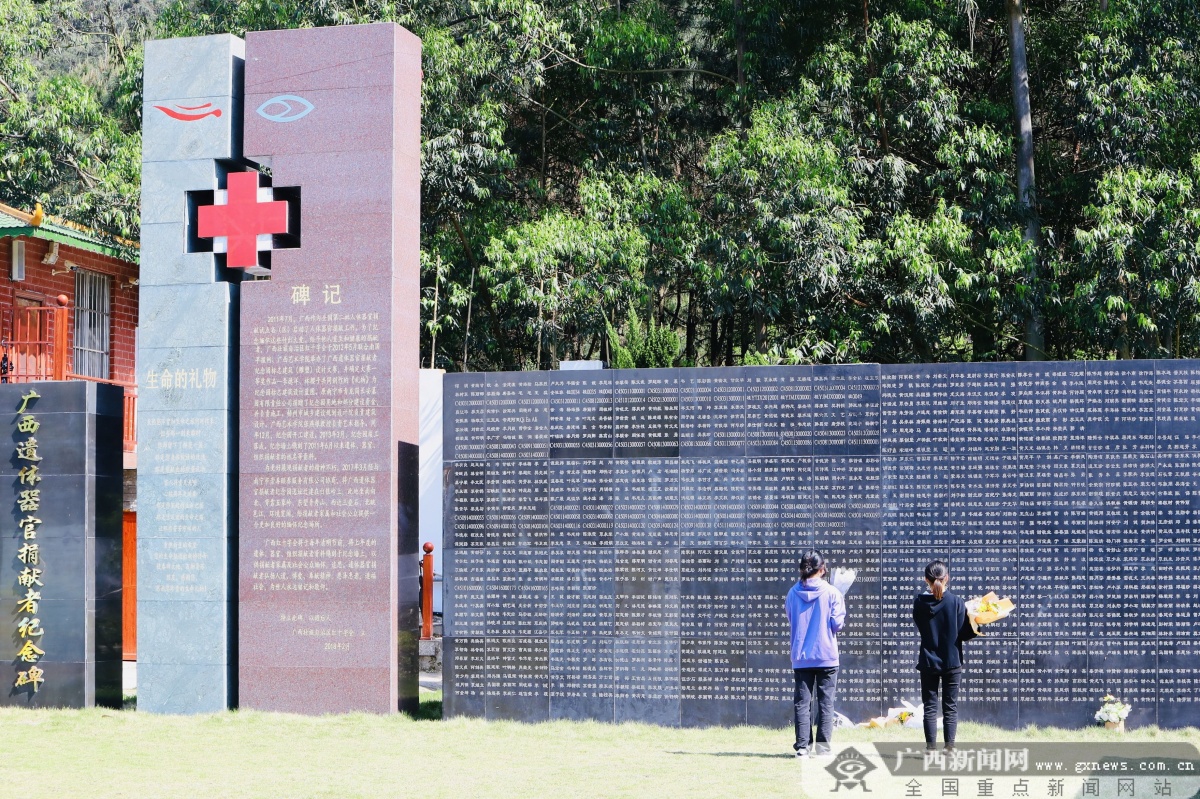 4月3日,在南宁市青龙岗长安墓园广西遗体器官捐献者纪念园,市民为器官