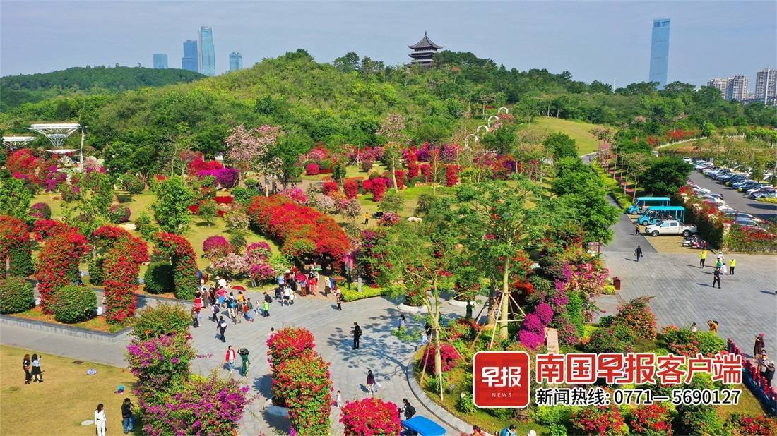 广西2021年旅游景区总数增加了50个