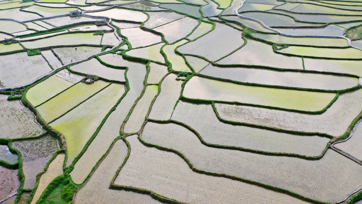 大美中國壯美廣西0428丨田園調色盤風景美如畫