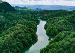 �������������