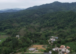 ��ָɽ���������ӭ����