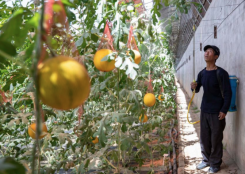 �����������ũ��æ