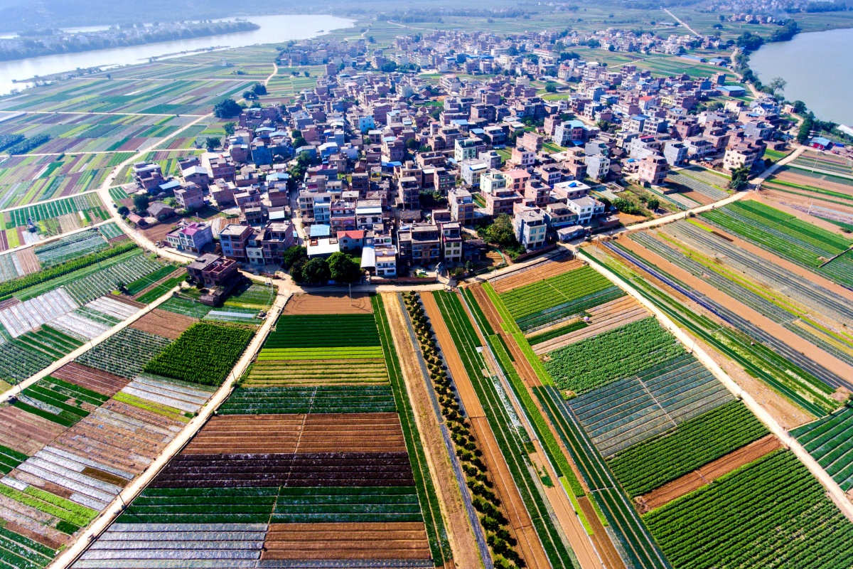 田东县 全景图片