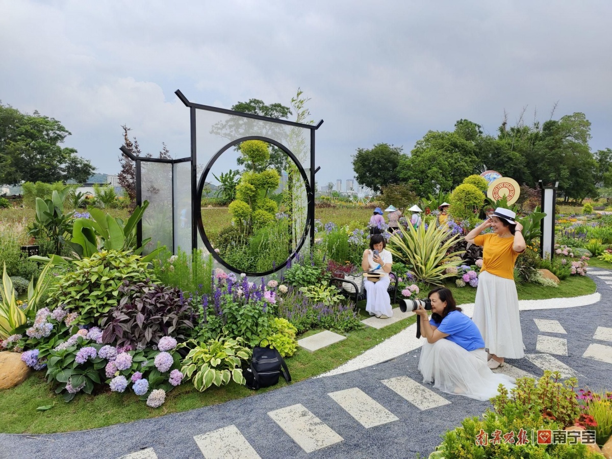 南宁市四季花展第二季度花境展28日正式开放