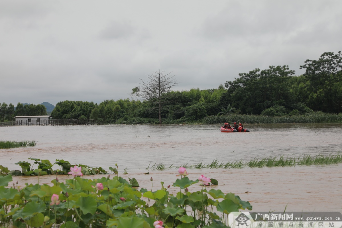 来宾武宣：一名老人被困洪水中央 消防员利用橡皮艇成功营救