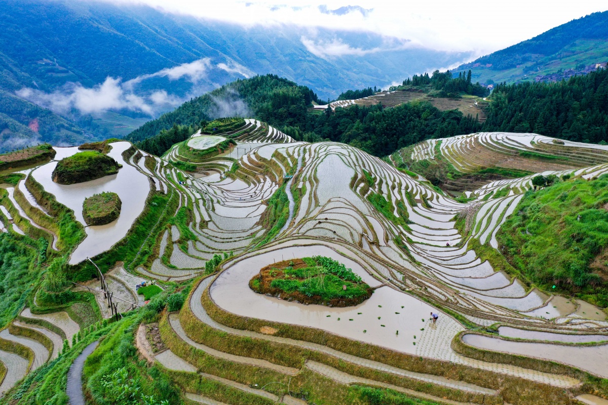 大美中国壮美广西0619丨梯田耕种忙3