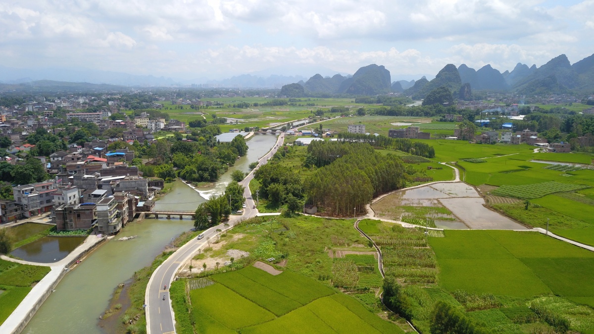 时值盛夏,贺州市早稻长势喜人,田园郁郁葱葱,大地如铺绿毯.