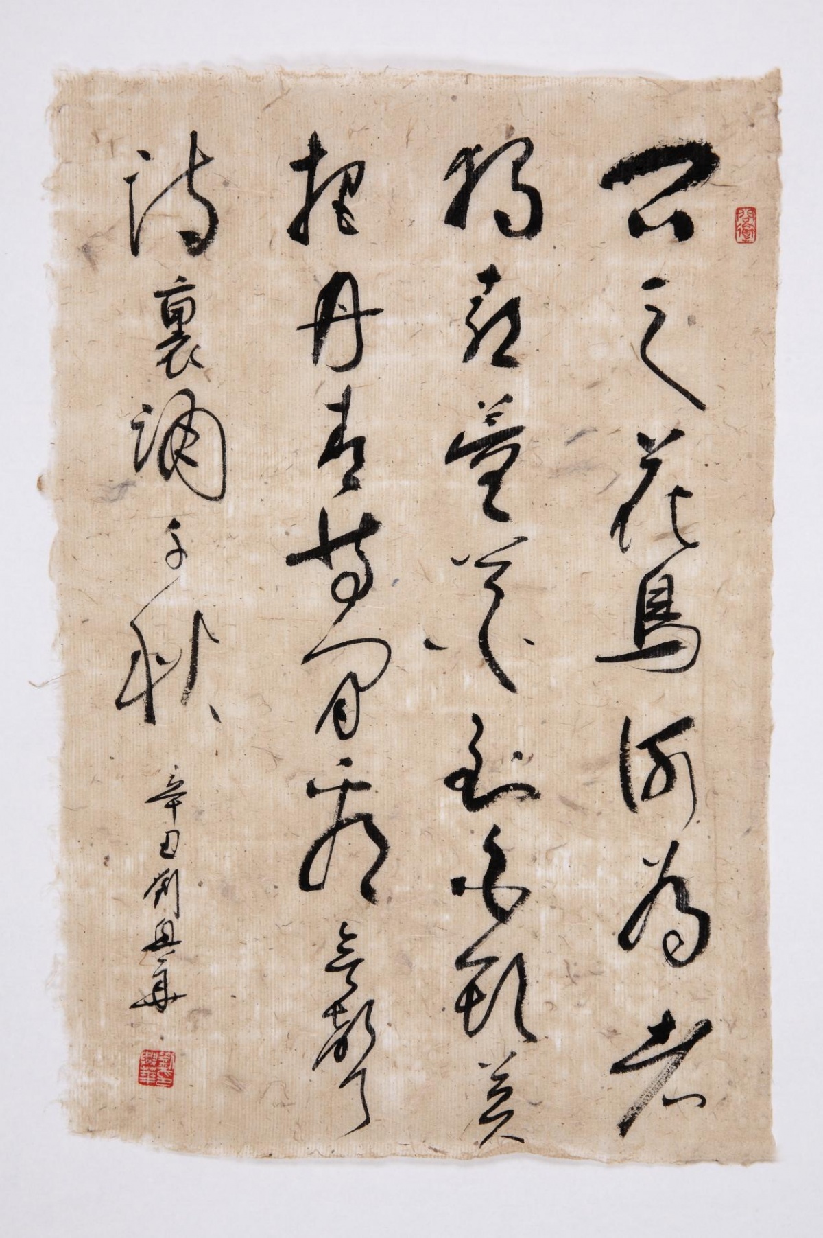 书写经典刘兴华书法展在甘肃美术馆展出