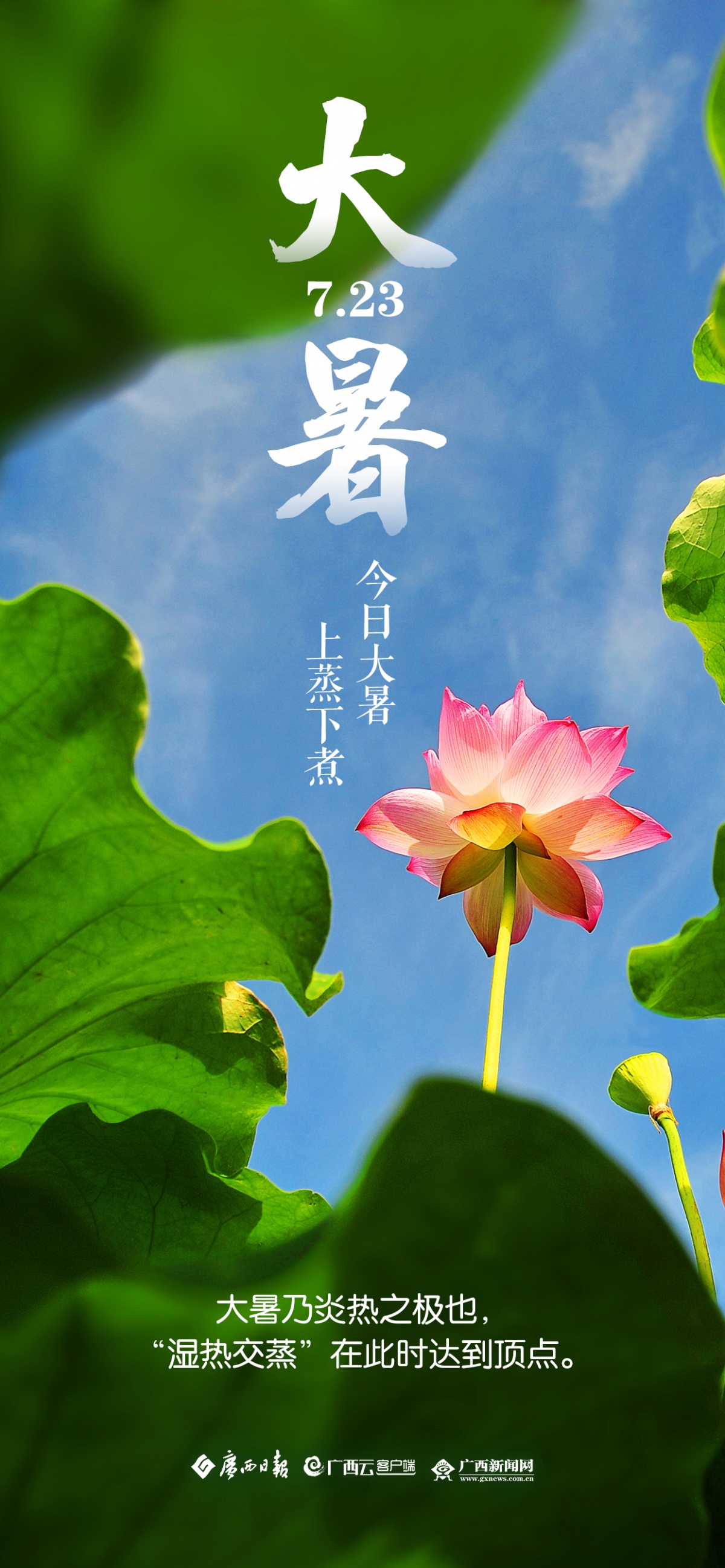 1200_2597竖版 竖屏